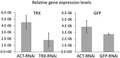 Application of RNA Interference Technology to Acroporid Juvenile Corals